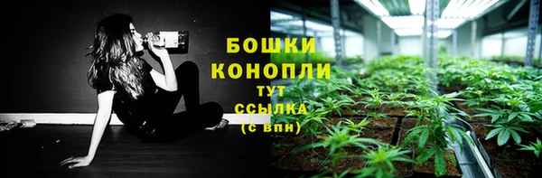 ПСИЛОЦИБИНОВЫЕ ГРИБЫ Армянск