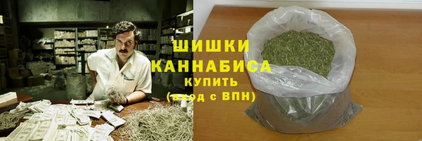 сатива Арсеньев