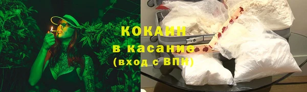 сатива Арсеньев
