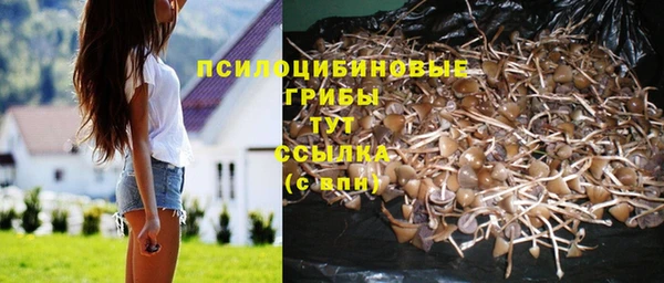 таблы Аркадак