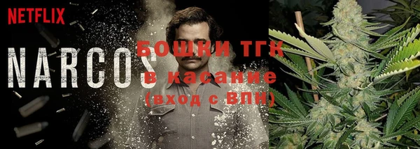 ПСИЛОЦИБИНОВЫЕ ГРИБЫ Армянск