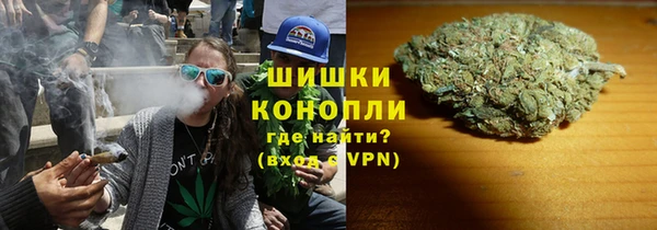 сатива Арсеньев