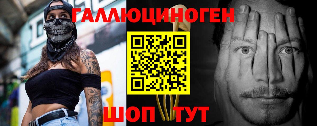 Ессентуки  Галлюциногенные грибы Psilocybe  как найти наркотики  Вход с VPN  Галлюциногенные грибы ЛСД 